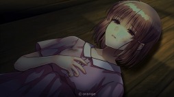 ꡼ No.003Υͥ / Switchߥƥ꡼ADV̤õ The Protea CasesۿϡȺͽ¬AIȥץƥɤƳ뾯λѤ