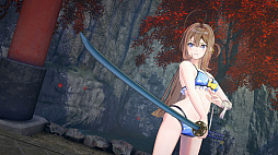 ꡼ No.005Υͥ / 륺SAMURAI MAIDEN -饤ᥤǥ-סPS Storeȥ˥ƥɡeåפǥǤͽճϡǥåǥȯ