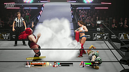 ꡼ No.005Υͥ / AEW: Fight ForeverסSwitchǤ630ۿꡣѥåǤ810ȯ