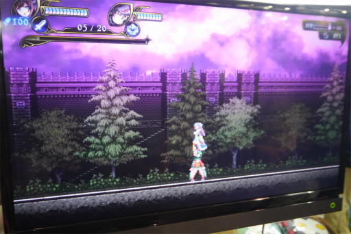 ���������꡼ No.009�Υ���ͥ������ / ����ƥ������ꥨ���Ĥο����Grim Guardians: Demon Purge�ץץ쥤��ݡ��ȡ�����ϥ󥿡��λ������夷�ʤ����臘��������󤬳ڤ���