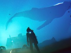 今夜22時から放送の「RADIO 4Gamer Tap(仮)」では,「Under The Waves」を取り上げます