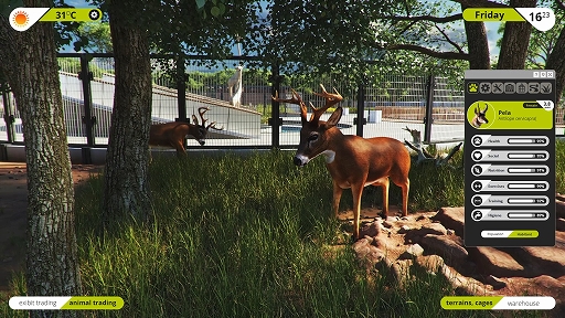 ꡼ No.003Υͥ / Zoo SimulatorפꡣưʪΥΥ٤Ԥʤ顤ȤƱ¤Ǥ;Υߥ졼