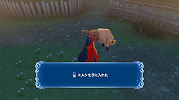 ���������꡼ No.041�Υ���ͥ������ / �Υץ쥤��ݡϡ֥ե�����������֥�� ���󥲡����פϡ��Хȥ�Ϥ��������֤Ȥθ�ή��ͷ�Ӥ����Ǥ⽼�¤����Ƥˡ��ޥ륹�����Ȱ۳��α�ͺ�ɤȤȤ���臘���꡼���ǿ���