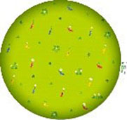 ���������꡼ No.041�Υ���ͥ������ / �ե��ߥ꡼�ޡ��Ȥˡ֥ԥ��ߥ���罸�硣����ܾ��ʤ���ꥰ�å��ʤɤ��о줹�륭���ڡ����10��29�����鳫��