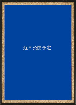꡼ No.007Υͥ / Ʋߥåޡå101䤹뿷å