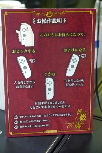 ꡼ No.006Υͥ / TGS2022ϡȤΡɤӥ󥿥鯤ءפSwitchǤо졣롼ѹJoy-ConбǽŤߤȤӥ󥿷ƮɤTGSǴǽƤ