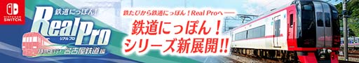 ꡼ No.002Υͥ / SwitchŴƻˤäݤReal Pro õԡ̾ŲŴƻԡסθǤۿ