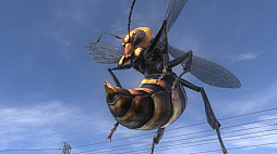 ꡼ No.019Υͥ / ϵɱҷ4.1 for Nintendo Switchס̿ΥեʡϵʪܥåȡĶͷϤʤɤξ󤬸