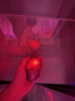 ꡼ No.015Υͥ / ȥҥͶΡSILENT HILL fʪŸפθǯKONAMI֡ϡᥤ󥹥ơ򶴤ǱۡTGS2025