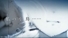 ꡼ No.002Υͥ / ֥ȥĥפԥƥȥץ쥤1213鳫š᤯ܺθǤ뻲üԤ罸