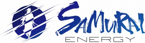 ꡼ No.009Υͥ / ֥ɥȡ饤SAMURAI ENERGYפȥ콩ո򥸥åѥ󥨥ʥδָꥳܥ٥Ȥ