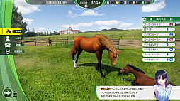 ꡼ No.003Υͥ / Winning Post 10פοϤ̤ɽȥޡʥƥɤ򥷥꡼