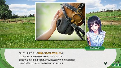 ꡼ No.002Υͥ / Winning Post 10סϤȿͤȤο٤פȤʤȥޡʥƥɡޤޤʸ̤ȯȻ˼Ĵɤξܺ٤