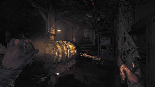 ꡼ No.003Υͥ / ХХۥ顼Amnesia: The Bunkerפκǿȥ쥤顼ʣʱιΰǤǼ͸Ԥ붲ݤȤ