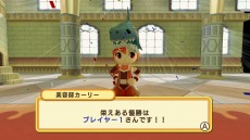 ���������꡼ No.055�Υ���ͥ������ / �֥ɥ��ݥ󥭥󥰥��� ���ͥ��ȡ�6��ξ�鿦�Ȥȡ����ƻե����꡼�ɤξ��󤬸����ˡ�����4�ͤǤΥ���饤������ξܺ٤�