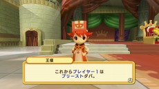 ���������꡼ No.083�Υ���ͥ������ / �֥ɥ��ݥ󥭥󥰥��� ���ͥ��ȡ�6��ξ�鿦�Ȥȡ����ƻե����꡼�ɤξ��󤬸����ˡ�����4�ͤǤΥ���饤������ξܺ٤�