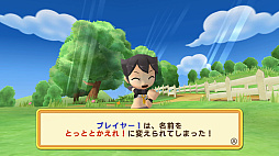 ���������꡼ No.036�Υ���ͥ������ / �֥ɥ��ݥ󥭥󥰥��� ���ͥ��ȡס�������2�Ĥξ�鿦�Ȥȡ�3�ͤΥ���饯�����ξ��󤬸����ˡ�3����Υ�����⡼�ɤʤɥ����ƥ���������