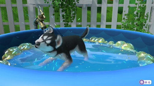 ꡼ No.012Υͥ / Υץ쥤ݡϤ襤ҸȰ󤷤ƤLITTLE FRIENDS PUPPY ISLANDפԥץ쥤