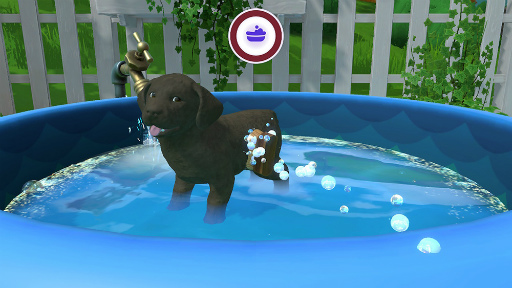 ꡼ No.015Υͥ / Υץ쥤ݡϤ襤ҸȰ󤷤ƤLITTLE FRIENDS PUPPY ISLANDפԥץ쥤