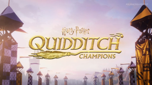꡼ No.001Υͥ / Harry Potter: Quidditch ChampionsסPC/󥷥塼޸93ȯ䡣֥ǥåפȤ﷿󥲡