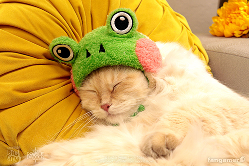 ꡼ No.003Υͥ / Little Kitty, Big CityNintendo SwitchѥåǤͽ档ǥåǥˤǭѤΡȳ˹ҡɤ