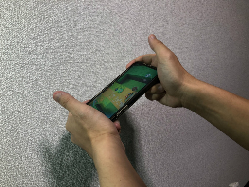 ꡼ No.008Υͥ / Υץ쥤ݡϥ󥹥ȥ餬 ޥۤΥ㥤ľŪͷ٤븫STG֥塼ӥåθݡ