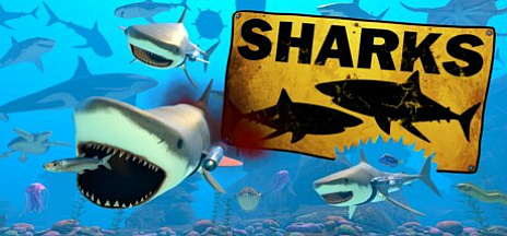 ꡼ No.001Υͥ / 10ɤǥޥץ쥤Хȥʥӥ㡼⤤ˡȤˤäƥåȤǲ®VRбΡSHARKSץǥǤ
