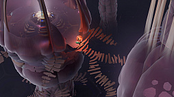 ꡼ No.005Υͥ / Υץ쥤ݡϥ֤ʥѥADVCOCOONפץ쥤LIMBOINSIDE꤬ǥʡΥ󥹤