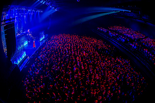 ꡼ No.014Υͥ / PERSONA LIVE TOUR 2024 -more ahead-פβ͸ݡȡ֥ڥ륽3 ɡפȡ֥ڥ륽5ץ꡼ο͵ڶʤˤߤʤϪ