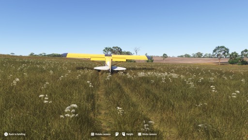 ꡼ No.016Υͥ / ̤̩ήƸ줿Microsoft Flight Simulator 2024סʤʲ뤲ҤΥƥΥ