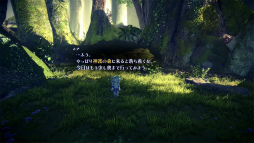 ꡼ No.009Υͥ / Υӥ塼ϤǮ襤⿷ˡδᥤSTAR OCEAN THE SECOND STORY RפϲƿJRPGζ