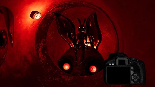 ꡼ No.001Υͥ / Τϻͥ˥ޥȥ˥Ϥ׼̿򻣱Ƥ뿷ۥ顼Trash Bunny Houseפ630ۿ