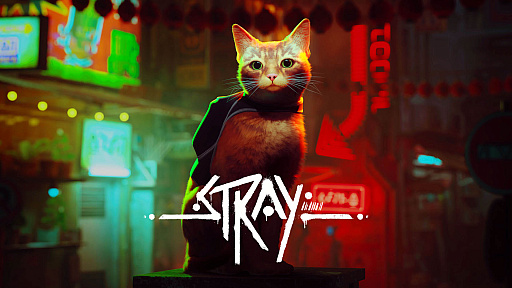 ꡼ No.002Υͥ / ǭˤϤޤʤǭStrayסXbox Series X|SǤXbox OneǤγȯ810˷