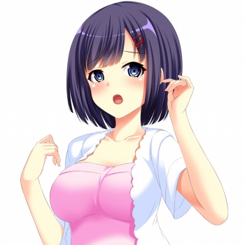꡼ No.004Υͥ / Υ٥륲ͻؤ -Becoming Your Beautiful Cousin-פPCǤSteamۿϡǯбᥤ