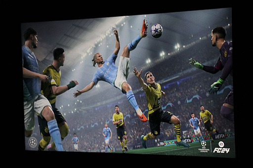 ꡼ No.006Υͥ / åɽ߷ ĤEA SPORTS FC24פΥ٥ȥݡȡ꡼Υ顼Pitch Greenɤޤ»