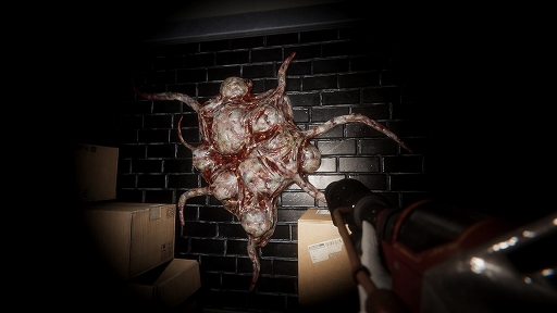 ꡼ No.004Υͥ / ĥߥåǤ齱롣Co-opХХ륢Infestation: Originsס2024ǯΥ꡼򥢥ʥ