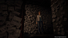 ꡼ No.008Υͥ / SILENT HILL: The Short MessageסPS5̵ۿϡˤۥ顼