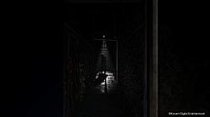 ꡼ No.009Υͥ / SILENT HILL: The Short MessageסPS5̵ۿϡˤۥ顼