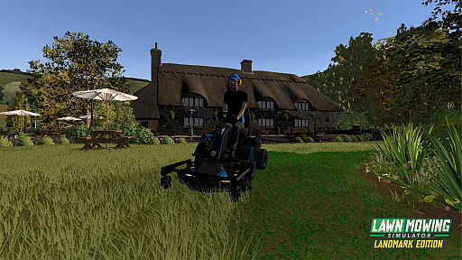 ꡼ No.004Υͥ / פ¸ʬSwtichǼǤ򴢤Lawn Mowing SimulatorפSwitchǤ314꡼