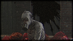 ꡼ No.004Υͥ / ֥ХϥɡפʤȤǥȥԥХХۥ顼PlastomorphosisסSteamۿ