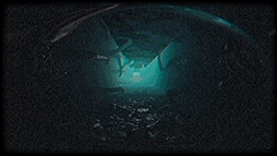 ꡼ No.005Υͥ / ֥ХϥɡפʤȤǥȥԥХХۥ顼PlastomorphosisסSteamۿ
