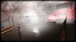 ꡼ No.008Υͥ / ֥ХϥɡפʤȤǥȥԥХХۥ顼PlastomorphosisסSteamۿ