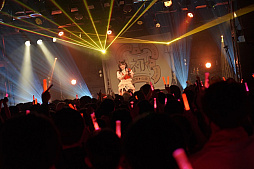꡼ No.013Υͥ / ֳرॢɥޥ׽Υ饤֥ĥDEBUT LIVE  TOURɤ롣ֽפۿݡ