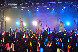 ꡼ No.031Υͥ / ֳرॢɥޥ׽Υ饤֥ĥDEBUT LIVE  TOURɤ롣ֽפۿݡ