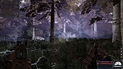 ꡼ No.014Υͥ / S.T.A.L.K.E.R.: Legends of the Zone Trilogyס̩줿Ρӥ䥷꡼ΥɡZONEɤξ󤬸
