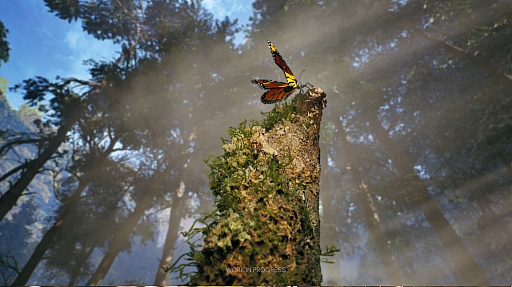 画像ギャラリー No.004のサムネイル画像 / フォトリアルな昆虫の世界を描くRTS「Empire of the Ants」の最新トレイラー公開。虫が苦手な人は閲覧注意