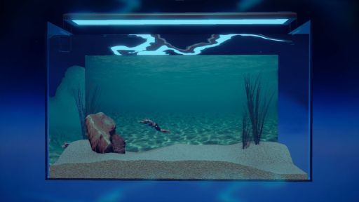 ꡼ No.002Υͥ / Ѿѥޥå䤵ʡַɥܥå֥ޥꥦ -Muscle Aquarium Simulator-ס2024ǯ2Ⱦۿ