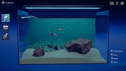 ꡼ No.003Υͥ / Ѿѥޥå䤵ʡַɥܥå֥ޥꥦ -Muscle Aquarium Simulator-ס2024ǯ2Ⱦۿ