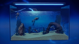 ꡼ No.006Υͥ / Ѿѥޥå䤵ʡַɥܥå֥ޥꥦ -Muscle Aquarium Simulator-ס2024ǯ2Ⱦۿ