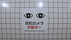 ꡼ No.012Υͥ / 8ֽиפNintendo SwitchۿѤ򸫤Ĥ֤8ֽиܻؤ